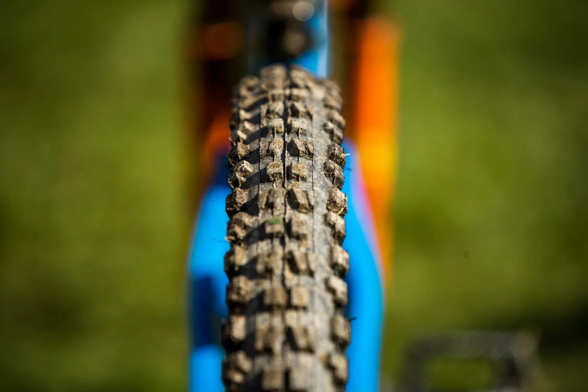 Maxxis Minion DHF, 3CG, EXO, TR, 29x2.5WT - MTB Renkaat - | Bikexpert